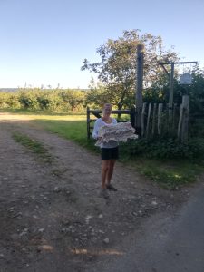 Breakfast-box-delivery-at-orchard-pods