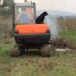 Rob-and-Gilly-working-in-the-orchard Rob-working-in-the-orchard
