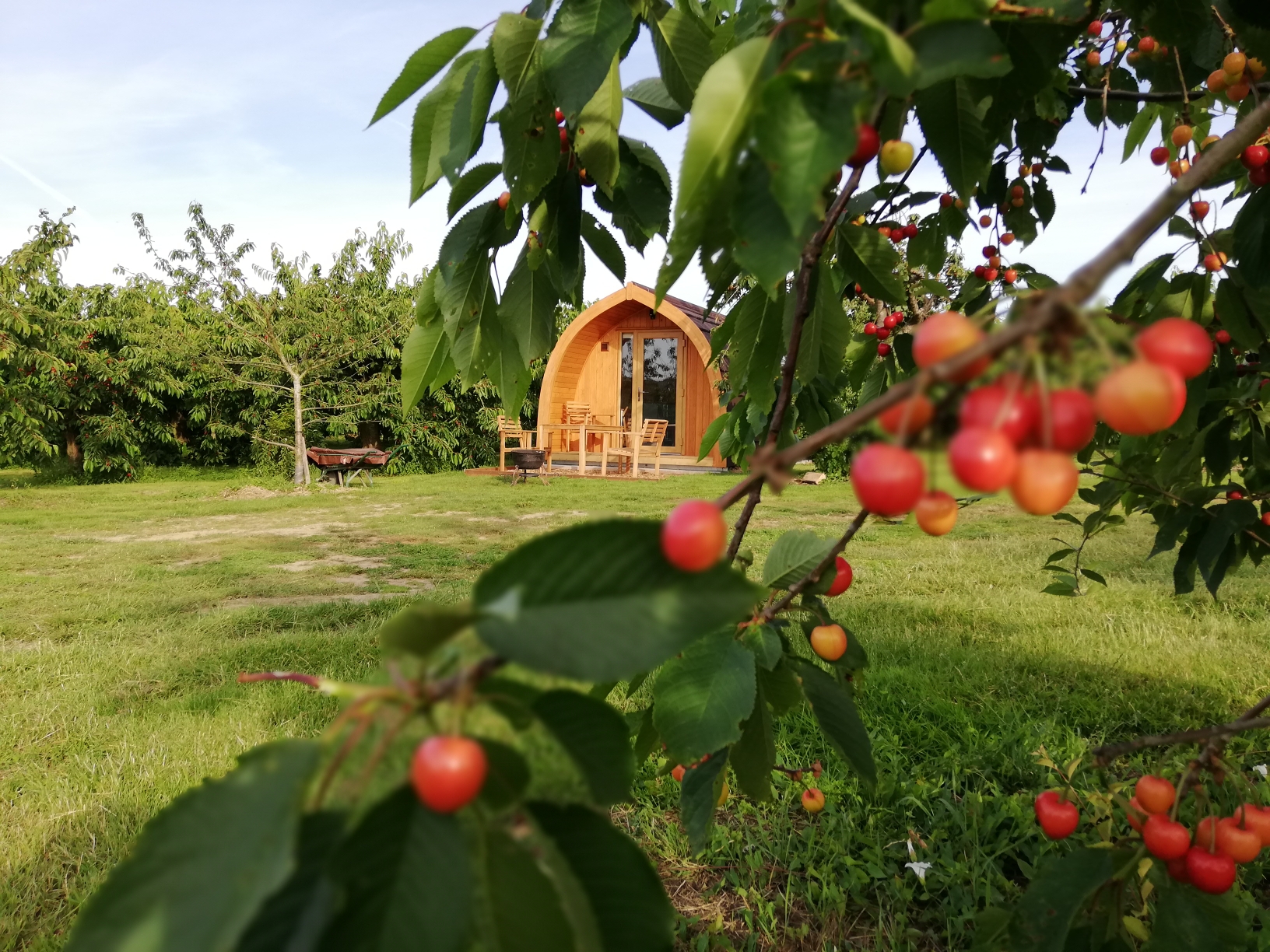 Long-orchard-pod-amongst-the-cherries-glamping-at-orchard-pods