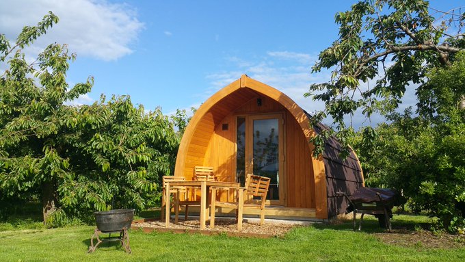 Long-orchard-pod-in-the-cherry-orchard