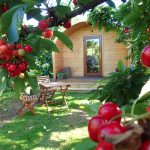 Sunburst-pod-orchard-pods-surrounded-by-cherries